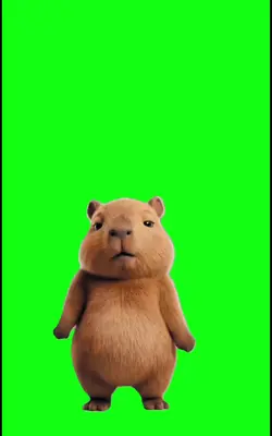 CapyBara/Capivara