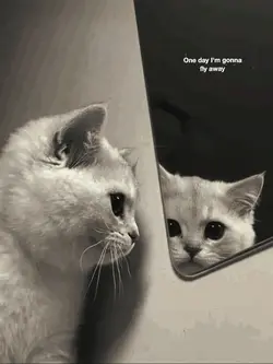 one day i am gonna f