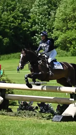Horse mindset