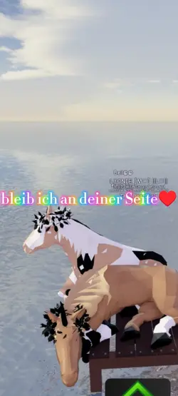 Freunde 