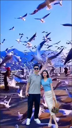 Seagulls flying