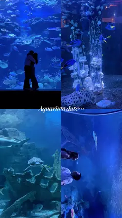 Aquarium date✨