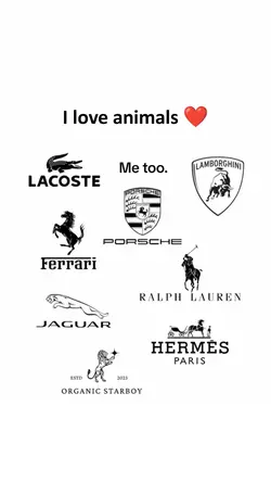 Car lovers meme