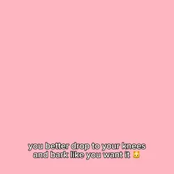 woof we want it