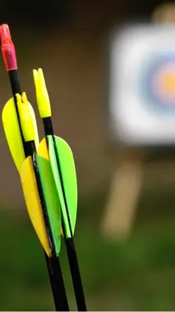 Favourite Archers