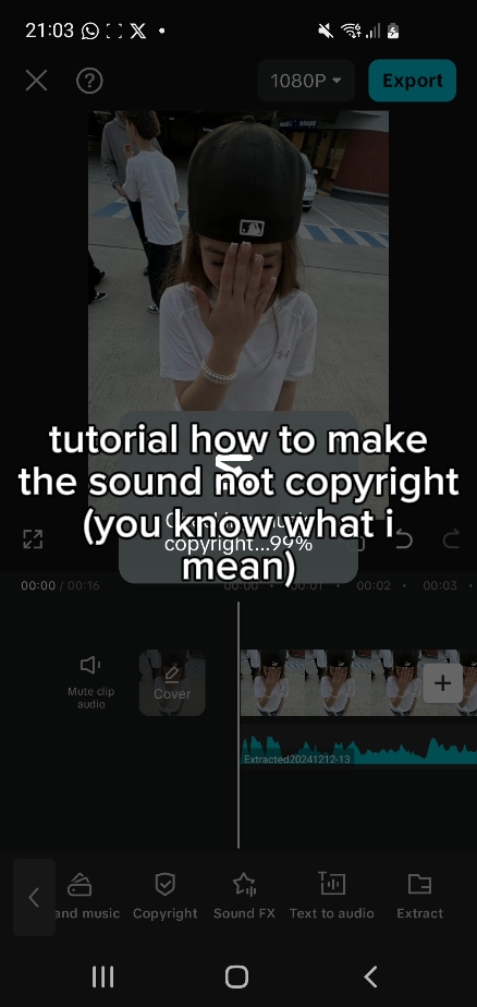 how to export capcut pro without pro - Pippit