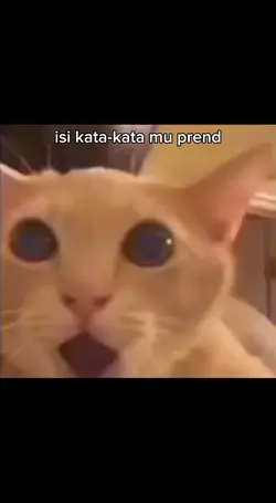 mentahan meme