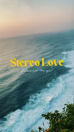 Stereo Love