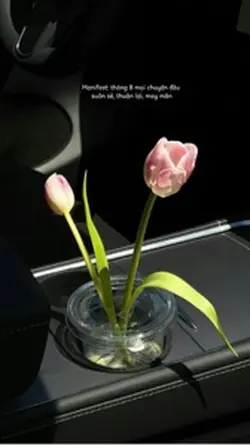 Tháng 8 may mắn