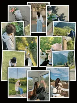12PicFrame Aesthetic
