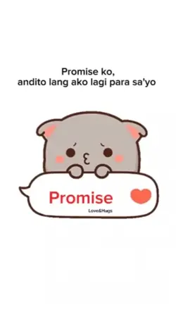 Promise ko
