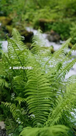 Before Vs After