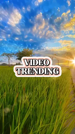 vlog trending 