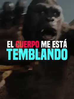 siento escalofrío 