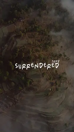 Stay surrendered