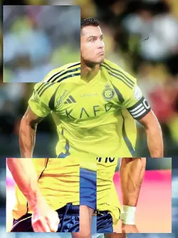 training template