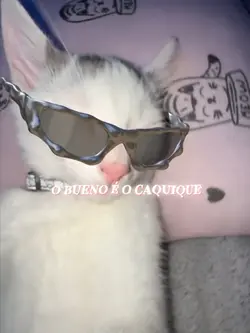O BUENO É O CACIQUE 