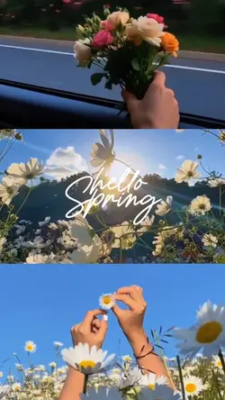HELLO SPRING