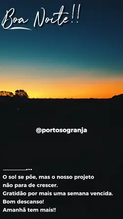 SUNSET VIBES