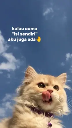 kalau cuma 