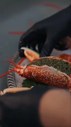 Seafood 🦞 