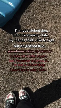 Violent dog