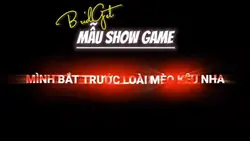 Mẫu Show Game