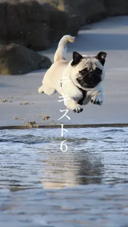 紹介テンプレート 砂の惑星