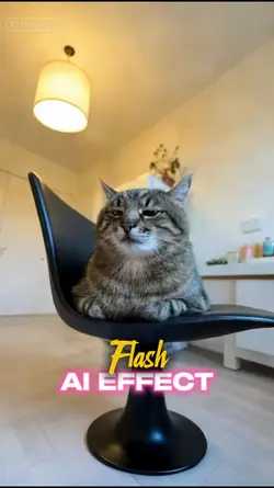 Flash Effect