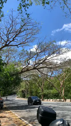 Nature🍃