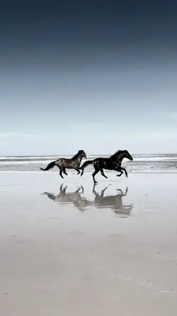 SlowMo | Effect 