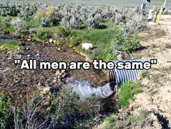not them