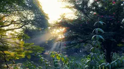 Cinematic video 