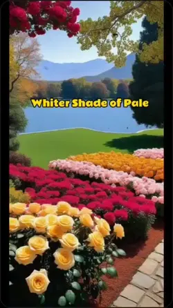 shade of pale