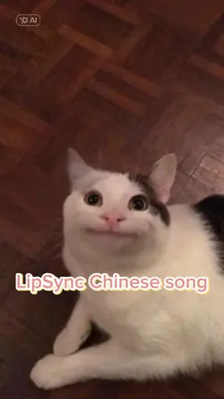 Chinese song LipSync