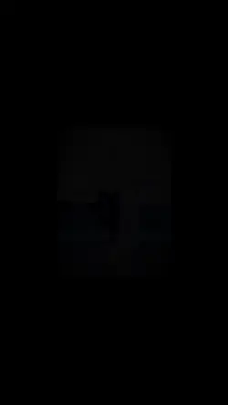 bd template