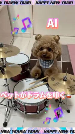 ペットがドラムを叩く🥁