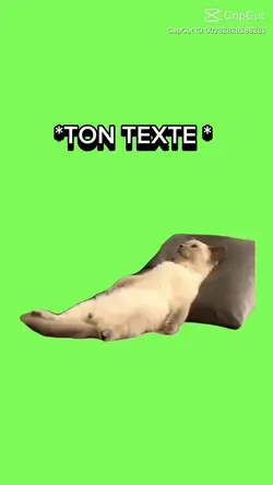 Ton texte 