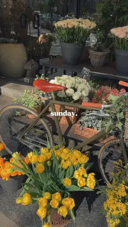 sunday