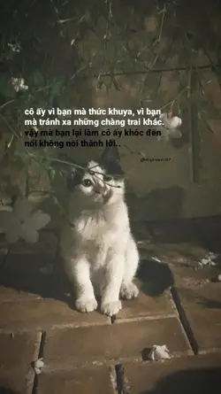 Anh nuối tiếc ..?