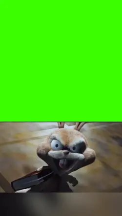 rabbit laugh 