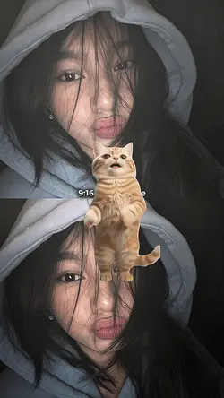 NOMIR VERSI KUCING
