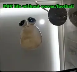 POV life withou