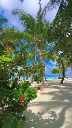 un' isola cosi