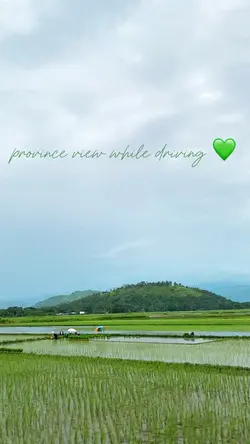province view