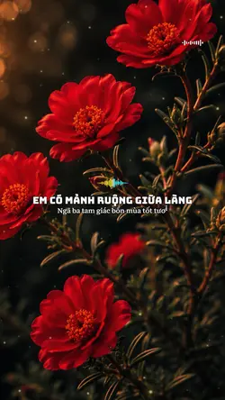 MẢNH RUỘNG TAM GIÁC