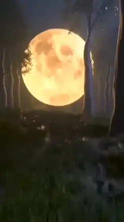 is amazing video cra
