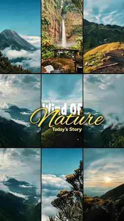 Wind Of Nature