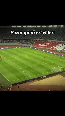 kızlar vs erkekler:
