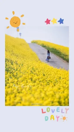 Mẫu 1 ảnh